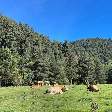 Apartamento Dalia La Molina  Buitenkant foto